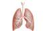 What You Must Know About Asbestos Lung Cancer