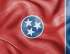 The State Laws of Tennessee
