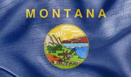The State Laws of Montana