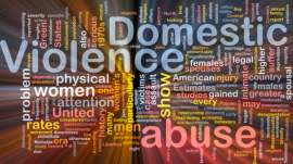 Know the Learned Behavior of Domestic Violence