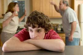 Understanding Violence in a Household