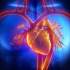 HeartWare Ventricular Assist System Approved