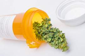Quick Overview on Medicinal Marijuana