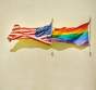 Illinois Senate Backs Gay Marriage