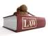 Discover How Common Laws Interacts with Constitutional Law