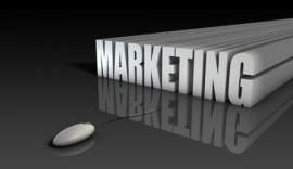 Marketing Sales Business Development