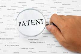 Utility Patent Guideline 
