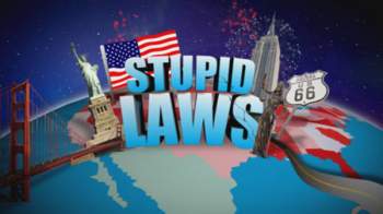 Different Types Of Stupid Laws